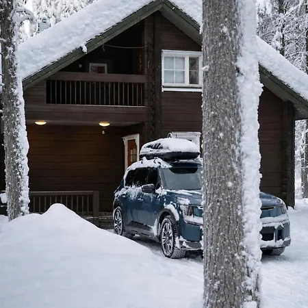 Riekonpesae Incl Service Room, Sauna, Wifi,fireplace, Firewood, *