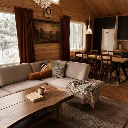 Riekonpesae Incl Service Room, Sauna, Wifi,fireplace, Firewood, Chalet *
