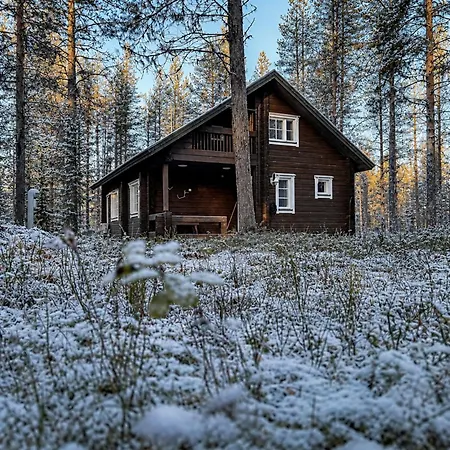 Riekonpesae Incl Service Room, Sauna, Wifi,fireplace, Firewood, Äkäslompolo